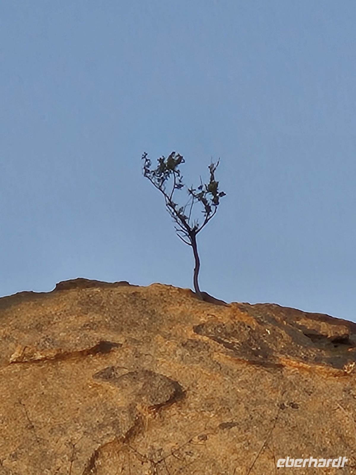 Tag 12 - Sonnenaufgangsspaziergang VI