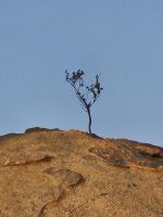 Tag 12 - Sonnenaufgangsspaziergang VI