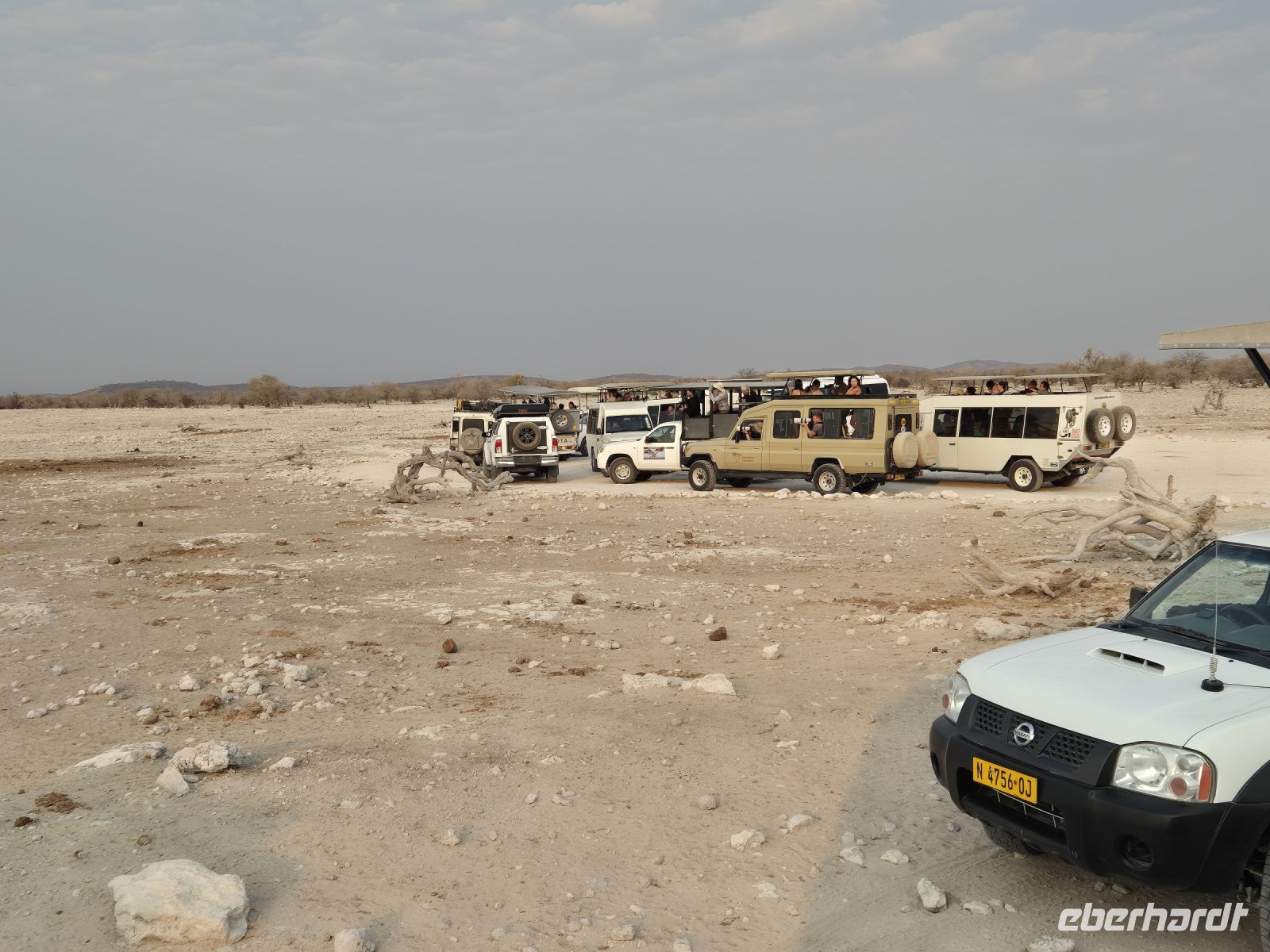 Tag 13 - Etosha NP - Eindrücke VII - Der Kampf um die besten Plätze