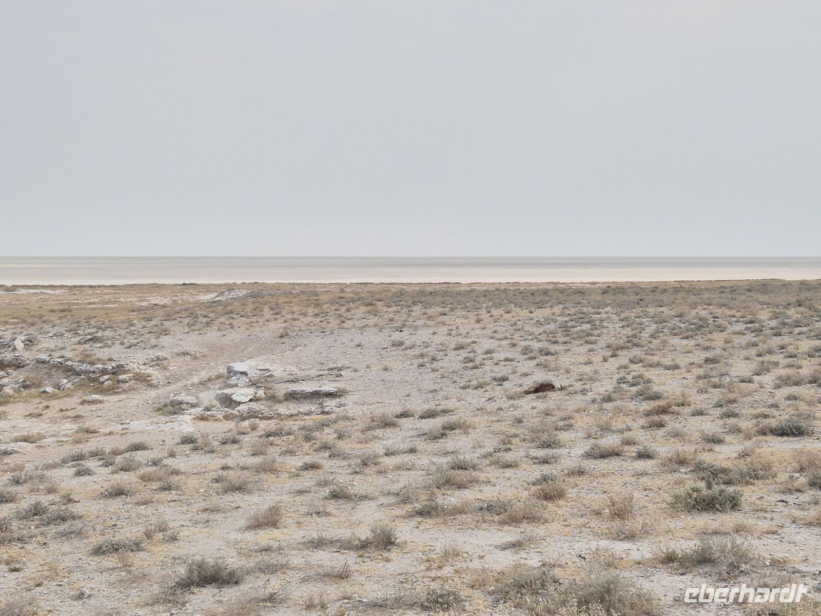 Tag 13 - Etosha NP - Eindrücke VIII - Etosha Salzpfanne (1)