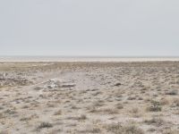 Tag 13 - Etosha NP - Eindrücke VIII - Etosha Salzpfanne (1)