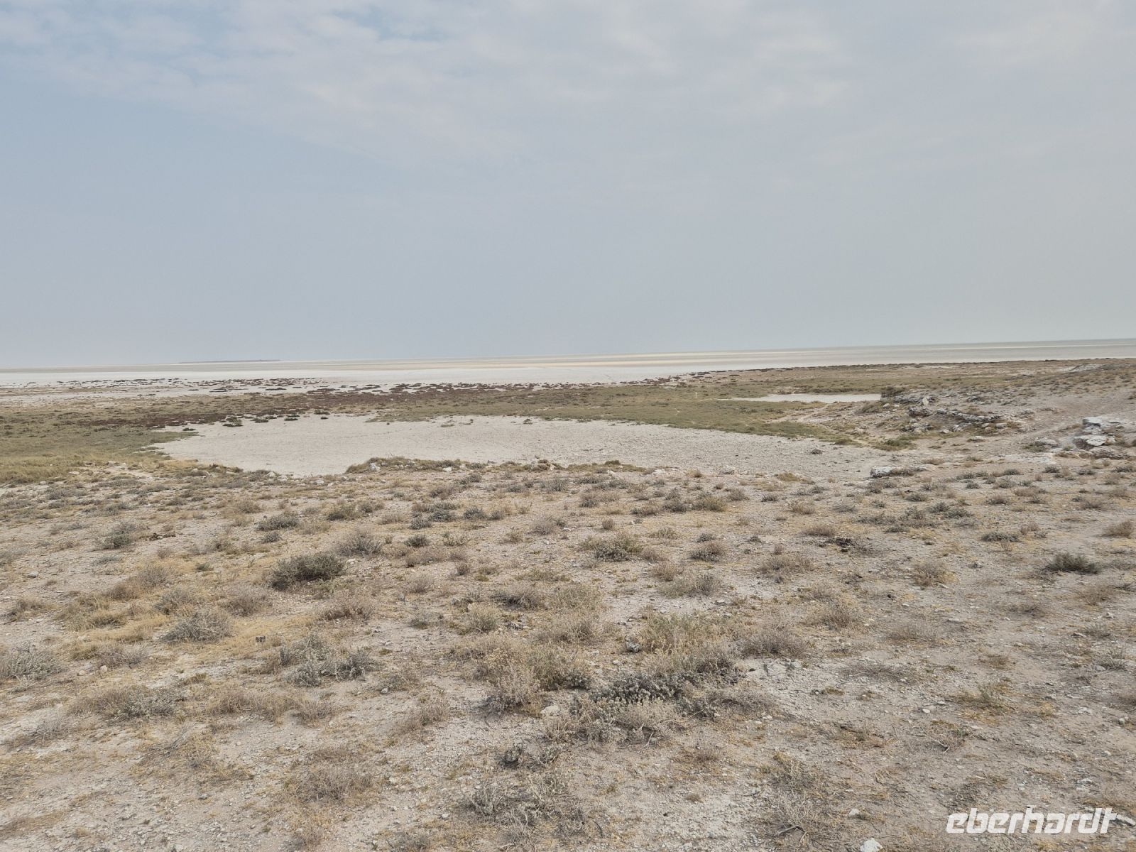 Tag 13 - Etosha NP - Eindrücke VIII - Etosha Salzpfanne (2)