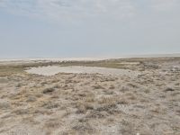 Tag 13 - Etosha NP - Eindrücke VIII - Etosha Salzpfanne (2)