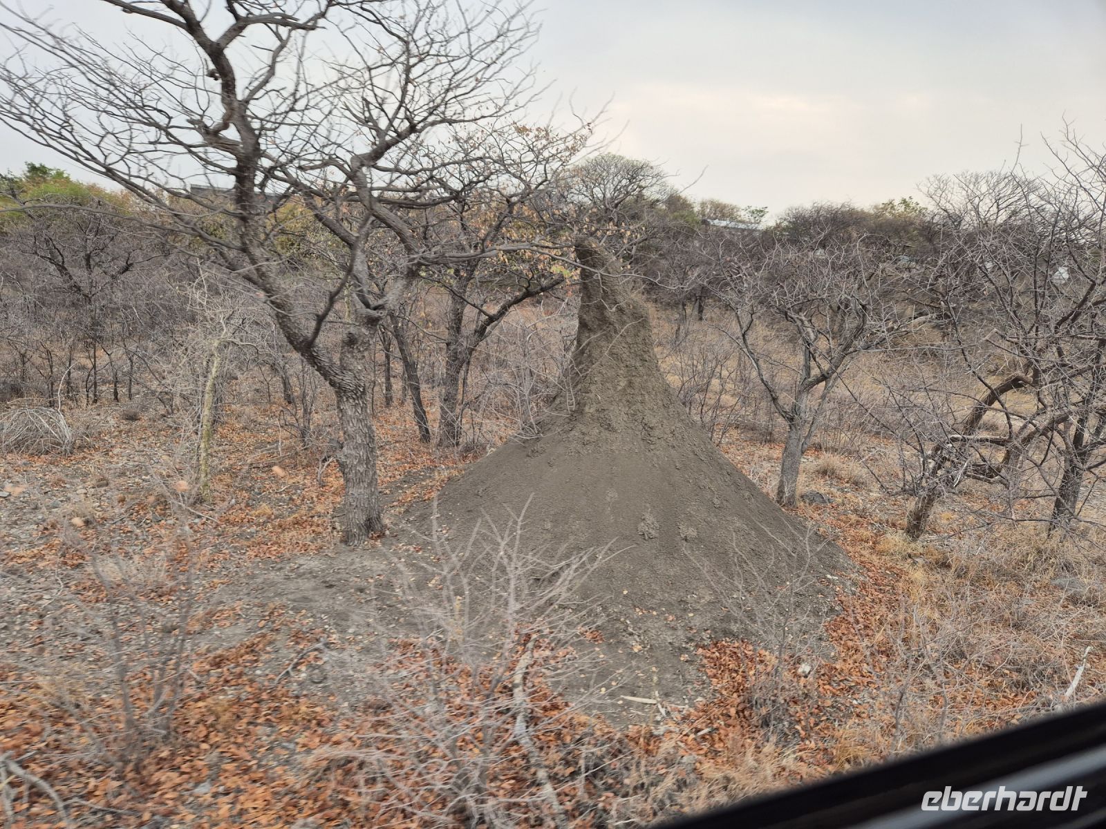 Tag 14 - Fahrtimpression I