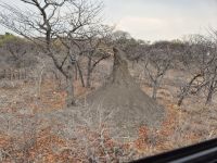 Tag 14 - Fahrtimpression I