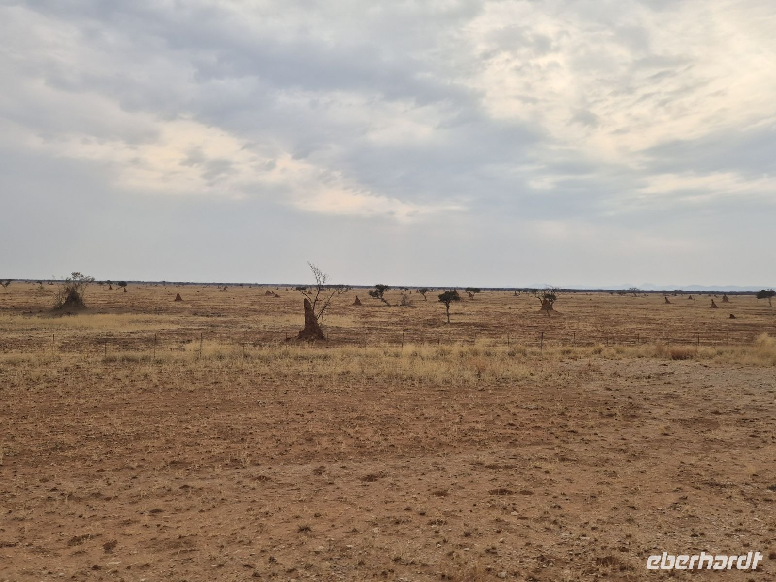 Tag 14 - Fahrtimpression II