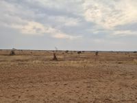 Tag 14 - Fahrtimpression II