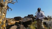 Namibia - Köcherbäume und Steine