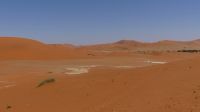 Ausflug in die Namib - ein riesiger Sandkasten