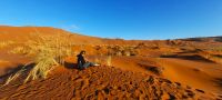 Ausflug in die Namib- Sossusvlei
