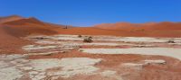 Ausflug in die Namib - Wanderung ins Dead Vlei