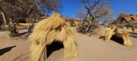 Erongo Mountains - Lebendiges Museum der San