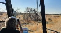 Etosha Nationalpark - erste Pirsch am Nachmittag