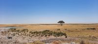 Etosha Nationalpark