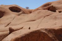 259-Rock Arch Park