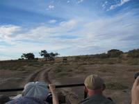 Auf Pirschfahrt in der Kalahari