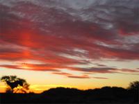 Sonnenuntergang in der Kalahari