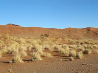 Sonnenaufgang in den Dünen von Sossusvlei