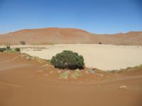 in den Dünen von Sossusvlei