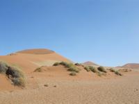 in den Dünen von Sossusvlei