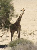 Wir werden auch beobachtet