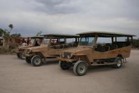 Jeppfahrt zum Sonnenuntergang &ndash; &copy; Tom Finke (Eberhardt TRAVEL)