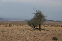 Jeepfahrt duch den Naukluft-Nationalpark &ndash; &copy; Tom Finke (Eberhardt TRAVEL)