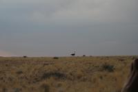 Jeepfahrt duch den Naukluft-Nationalpark &ndash; &copy; Tom Finke (Eberhardt TRAVEL)