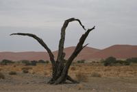 &copy; Tom Finke (Eberhardt TRAVEL)