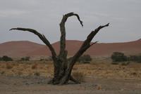 &copy; Tom Finke (Eberhardt TRAVEL)