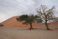 &copy; Tom Finke (Eberhardt TRAVEL)