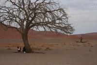 &copy; Tom Finke (Eberhardt TRAVEL)