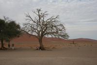 &copy; Tom Finke (Eberhardt TRAVEL)