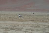 &copy; Tom Finke (Eberhardt TRAVEL)