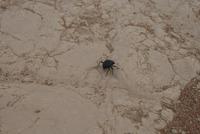 &copy; Tom Finke (Eberhardt TRAVEL)