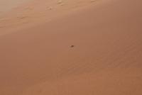 &copy; Tom Finke (Eberhardt TRAVEL)