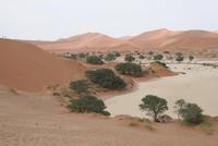 &copy; Tom Finke (Eberhardt TRAVEL)