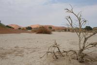 &copy; Tom Finke (Eberhardt TRAVEL)