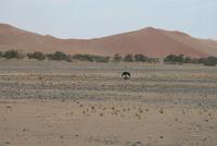 &copy; Tom Finke (Eberhardt TRAVEL)