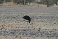 &copy; Tom Finke (Eberhardt TRAVEL)