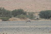 &copy; Tom Finke (Eberhardt TRAVEL)