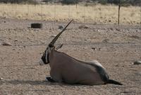 &copy; Tom Finke (Eberhardt TRAVEL)