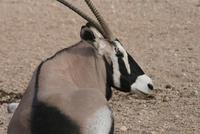 &copy; Tom Finke (Eberhardt TRAVEL)