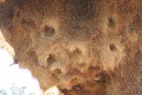 &copy; Tom Finke (Eberhardt TRAVEL)