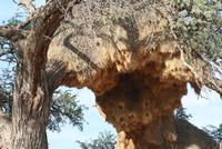 &copy; Tom Finke (Eberhardt TRAVEL)