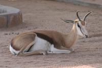 &copy; Tom Finke (Eberhardt TRAVEL)