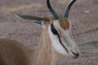 &copy; Tom Finke (Eberhardt TRAVEL)