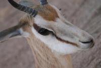 &copy; Tom Finke (Eberhardt TRAVEL)