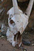 &copy; Tom Finke (Eberhardt TRAVEL)