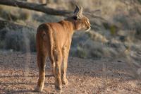 &copy; Tom Finke (Eberhardt TRAVEL)